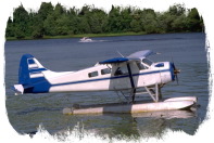 plane